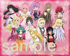 画像ギャラリー No.003のサムネイル画像 / 「テイルズ オブ」シリーズ，第5回キャラクター人気投票がスタート