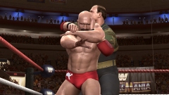 画像ギャラリー No.008のサムネイル画像 / 「WWE Legends of WrestleMania」早期購入特典はWWEピンズ/トレカ