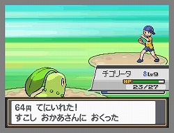 画像ギャラリー No.033のサムネイル画像 / 祝「ポケモン金・銀」10周年！　NDS用ソフトとしてリメイクされ大きくパワーアップした「ポケットモンスター ハートゴールド・ソウルシルバー」レビュー