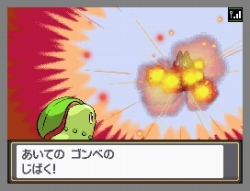 画像ギャラリー No.015のサムネイル画像 / ポケモン，「ポケウォーカー」の特別なコースを27日まで限定配信