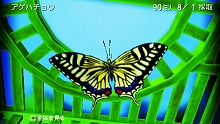画像ギャラリー No.009のサムネイル画像 / PSPで1985年の夏休みにタイムスリップ。「ぼくのなつやすみ4 瀬戸内少年探偵団、ボクと秘密の地図」が7月2日に発売