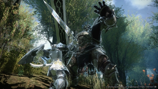 画像ギャラリー No.016のサムネイル画像 / ［E3 2012］「FINAL FANTASY XIV」のアップデートパッチ「Version 2.0」に関連した最新のアートワークとスクリーンショットを一挙掲載