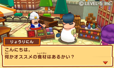 画像ギャラリー No.004のサムネイル画像 / 「ファンタジーライフ」は3DS用タイトルに変更。さらにイメージイラストを天野喜孝氏が手がけることも発表に。レベルファイブ，新作RPGの最新情報を公開