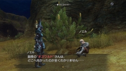画像ギャラリー No.046のサムネイル画像 / 白騎士の冒険はまだ終わらない。PS3「白騎士物語 -光と闇の覚醒-」，2011年初頭までのアップデート計画を公開
