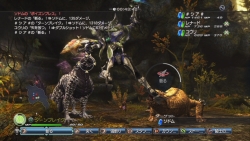 画像ギャラリー No.053のサムネイル画像 / 白騎士の冒険はまだ終わらない。PS3「白騎士物語 -光と闇の覚醒-」，2011年初頭までのアップデート計画を公開