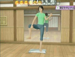 画像ギャラリー No.003のサムネイル画像 / 「アイソメトリック＆カラテエクササイズ Wiiで骨盤Fitness」が発売