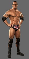画像ギャラリー No.014のサムネイル画像 / ちょっとビンス殴りに行ってくる！　「WWE SmackDown vs. Raw 2011」はバックステージも大騒ぎ!?