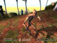 画像ギャラリー No.002のサムネイル画像 / 日本語化された「Shivering Isles」も入ってる！ 「The Elder Scrolls IV: オブリビオン Game of the Year Edition」の発売日が4月22日に決定