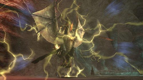 画像ギャラリー No.014のサムネイル画像 / PCで人気の「モンスターハンター フロンティア オンライン」は，Xbox 360でどう受け止められた？　MHF運営プロデューサーにいろいろ聞いてみた