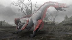 画像ギャラリー No.017のサムネイル画像 / PCで人気の「モンスターハンター フロンティア オンライン」は，Xbox 360でどう受け止められた？　MHF運営プロデューサーにいろいろ聞いてみた