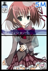 画像ギャラリー No.046のサムネイル画像 / 目指せ，究極の美少女ハーレム！　ニンテンドーDS用ソフト「生徒会の一存 -DSする生徒会-」が3月25日に発売