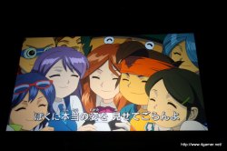 画像ギャラリー No.011のサムネイル画像 / 3700人以上のファンが集い，T-Pistonz＋KMCのライブや声優陣のトークショウなど盛りだくさんの内容となった，「イナズマイレブン3発売記念 ファン感謝祭」レポート