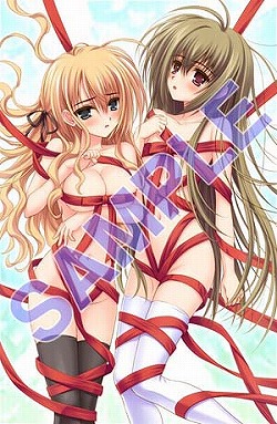 画像ギャラリー No.003のサムネイル画像 / 4月29日に発売を予定する「乙女はお姉さまに恋してる Portable」の店舗別特典イラストは大変けしからん（？）