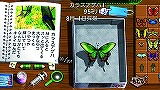 ぼくのなつやすみポータブル2 ナゾナゾ姉妹と沈没船の秘密！