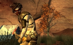 画像ギャラリー No.005のサムネイル画像 / 「Fallout New Vegas」DLC第2弾「Honest Hearts」が今夏に配信予定