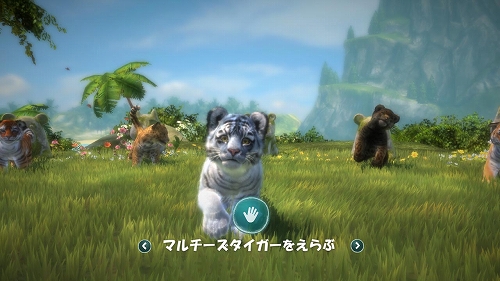 画像ギャラリー No.002のサムネイル画像 / 「Kinect アニマルズ」，初回限定版には愛くるしい“マルチーズ タイガー”のぬいぐるみが同梱。コードを読み取ってゲームにも登場させよう