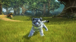 画像ギャラリー No.005のサムネイル画像 / 「Kinect アニマルズ」，初回限定版には愛くるしい“マルチーズ タイガー”のぬいぐるみが同梱。コードを読み取ってゲームにも登場させよう
