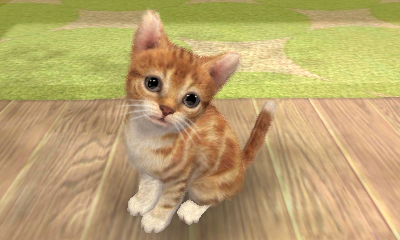 画像ギャラリー No.002のサムネイル画像 / かつて遊び込んだあのタイトル達がニンテンドー3DSでこぞって復活。任天堂最新タイトルラインナップ＆スクリーンショット ＃1