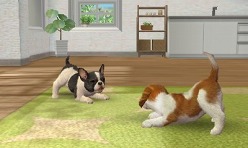 画像ギャラリー No.009のサムネイル画像 / 3DSの立体表示で，あの名作はどう生まれ変わるのか。「ゼルダの伝説 時のオカリナ 3D（仮称）」「nintendogs + cats」「どうぶつの森（仮称）」レポート