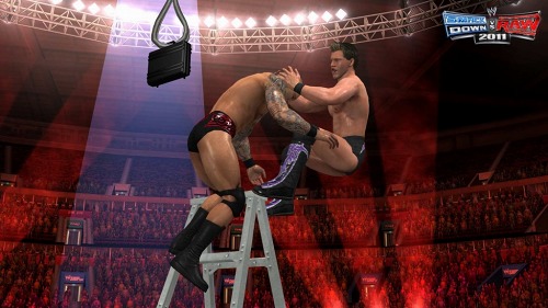 画像ギャラリー No.016のサムネイル画像 / ［E3 2010］今回の目玉は“よりリアルなTLCマッチ”！ 「WWE 2011 SmackDown vs Raw」プレイアブルデモレポート＆ミニインタビュー