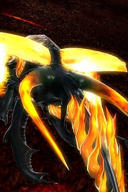 画像ギャラリー No.005のサムネイル画像 / 「ムシキングバトル」，“超合虫カード”など新カード50種が排出開始