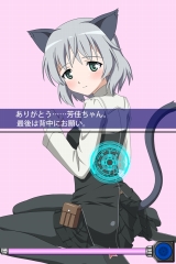 画像ギャラリー No.011のサムネイル画像 / NDS「ストライクウィッチーズ2」DXパックの同梱グッズが公開