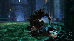 画像ギャラリー No.016のサムネイル画像 / ［E3 2011］「Kingdoms of Amalur: Reckoning」の最新トレイラーが公開。ファンタジーを徹底的に追求した世界観が魅力だ
