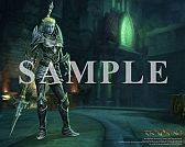 画像ギャラリー No.012のサムネイル画像 / 「キングダムズ オブ アマラー:レコニング」,PC用オリジナル壁紙13種が配信