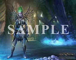 画像ギャラリー No.015のサムネイル画像 / 「キングダムズ オブ アマラー:レコニング」,PC用オリジナル壁紙13種が配信