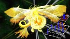 画像ギャラリー No.024のサムネイル画像 / 「ヴィーナス＆ブレイブス　〜魔女と女神と滅びの予言〜」，10種類のイベントや20人のゲストが用意された新モード登場。プロモーションムービーも掲載