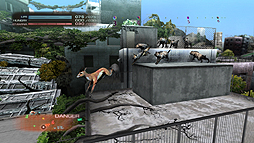 画像ギャラリー No.005のサムネイル画像 / PS3「TOKYO JUNGLE」の発売日が6月7日に決定。人間が姿を消した東京を舞台に，動物達が本能剥き出しで暴れ回るサバイバルアクション