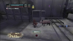 画像ギャラリー No.016のサムネイル画像 / 「TOKYO JUNGLE」のサバイバルモードが過酷すぎる。捕食し，縄張りを占拠して，メスをなびかせ世代交代しながら，ひたすら生き延びる