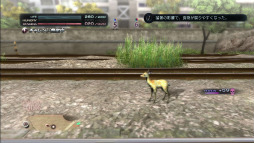 画像ギャラリー No.019のサムネイル画像 / 「TOKYO JUNGLE」のサバイバルモードが過酷すぎる。捕食し，縄張りを占拠して，メスをなびかせ世代交代しながら，ひたすら生き延びる