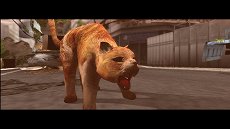 画像ギャラリー No.009のサムネイル画像 / 「TOKYO JUNGLE」，ストーリーモードのスクリーンショットを掲載。ポメラニアンにボスネコが，ニホンジカにチーターや恐竜が襲いかかる
