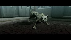 画像ギャラリー No.015のサムネイル画像 / 「TOKYO JUNGLE」，ストーリーモードのスクリーンショットを掲載。ポメラニアンにボスネコが，ニホンジカにチーターや恐竜が襲いかかる