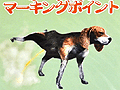 「またSCEからなんか来た！」と思ったら“サバイバル用持ち出し袋”だった。これで「TOKYO JUNGLE」を生き残れというのか…… 