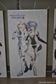 画像ギャラリー No.005のサムネイル画像 / エミリアとルミアの水着衣装，デューマンとキャストの「PSPo2i」衣装/パーツなど注目の新情報も飛び出した，「ファンタシースター感謝祭2013」札幌会場のレポートを掲載