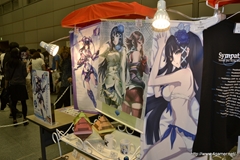 画像ギャラリー No.018のサムネイル画像 / エミリアとルミアの水着衣装，デューマンとキャストの「PSPo2i」衣装/パーツなど注目の新情報も飛び出した，「ファンタシースター感謝祭2013」札幌会場のレポートを掲載