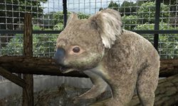 画像ギャラリー No.003のサムネイル画像 / 「アニマルリゾート 動物園をつくろう!!」は5月19日に発売予定。公式サイトがリニューアルし，動物達が大きく描かれたデザインに