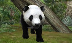 画像ギャラリー No.004のサムネイル画像 / 「アニマルリゾート 動物園をつくろう!!」は5月19日に発売予定。公式サイトがリニューアルし，動物達が大きく描かれたデザインに