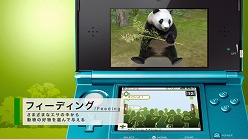 画像ギャラリー No.002のサムネイル画像 / 「アニマルリゾート」，テレビCM＆PVを公式サイトにて公開