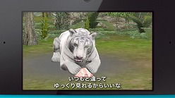 画像ギャラリー No.003のサムネイル画像 / 「アニマルリゾート」，テレビCM＆PVを公式サイトにて公開