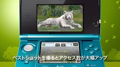 画像ギャラリー No.005のサムネイル画像 / 「アニマルリゾート」，テレビCM＆PVを公式サイトにて公開