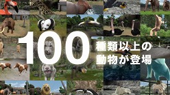 画像ギャラリー No.006のサムネイル画像 / 「アニマルリゾート」，テレビCM＆PVを公式サイトにて公開