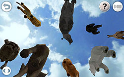 画像ギャラリー No.003のサムネイル画像 / 3Dでリアルに再現された野生動物を楽しめる「REAL ANIMALS HD」発売