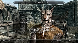 画像ギャラリー No.014のサムネイル画像 / 「The Elder Scrolls V: Skyrim」のレビューを掲載。やりこみ要素満載のハイファンタジーながら，初心者への優しさも忘れない，死角なしの大本命RPG