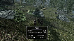 画像ギャラリー No.025のサムネイル画像 / 「The Elder Scrolls V: Skyrim」のレビューを掲載。やりこみ要素満載のハイファンタジーながら，初心者への優しさも忘れない，死角なしの大本命RPG