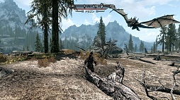 画像ギャラリー No.044のサムネイル画像 / 「The Elder Scrolls V: Skyrim」のレビューを掲載。やりこみ要素満載のハイファンタジーながら，初心者への優しさも忘れない，死角なしの大本命RPG