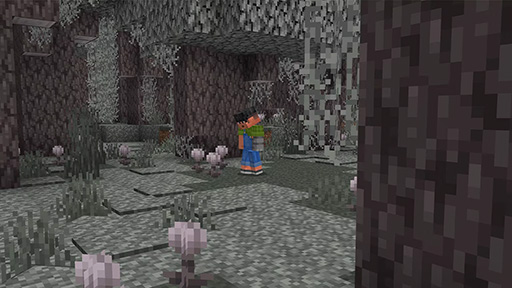 画像ギャラリー No.001のサムネイル画像 / 「Minecraft」，アップデート「The Garden Awakens」を配信開始。新しいバイオーム「Pale Garden」が登場