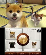 nintendogs + cats 柴 ＆ Newフレンズ